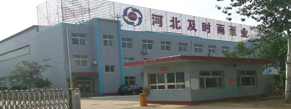 渣浆泵-工业泵-脱硫泵